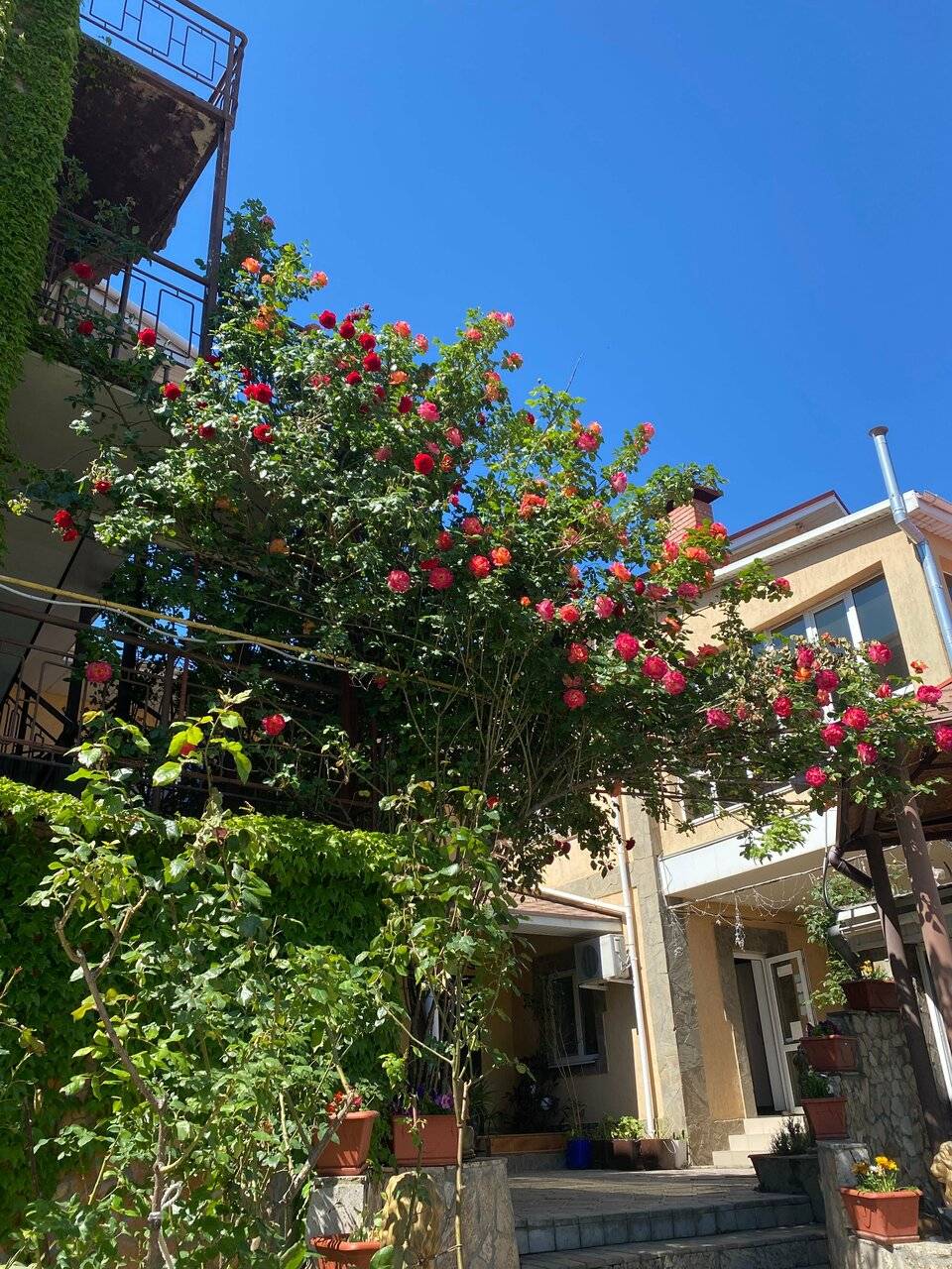 Фото Гостиницы Крепость Кафа Феодосия 168