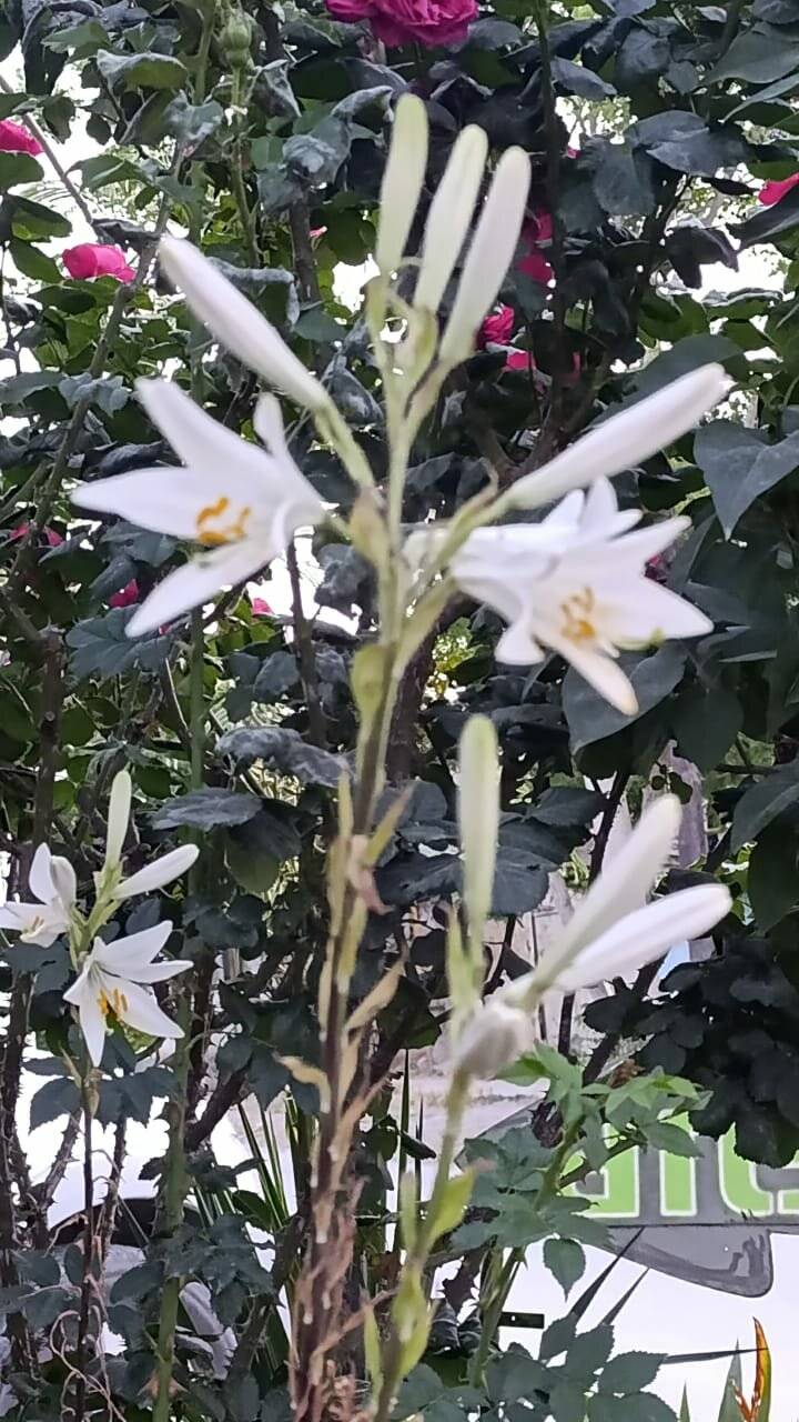 Фото Гостиницы Крепость Кафа Феодосия 148