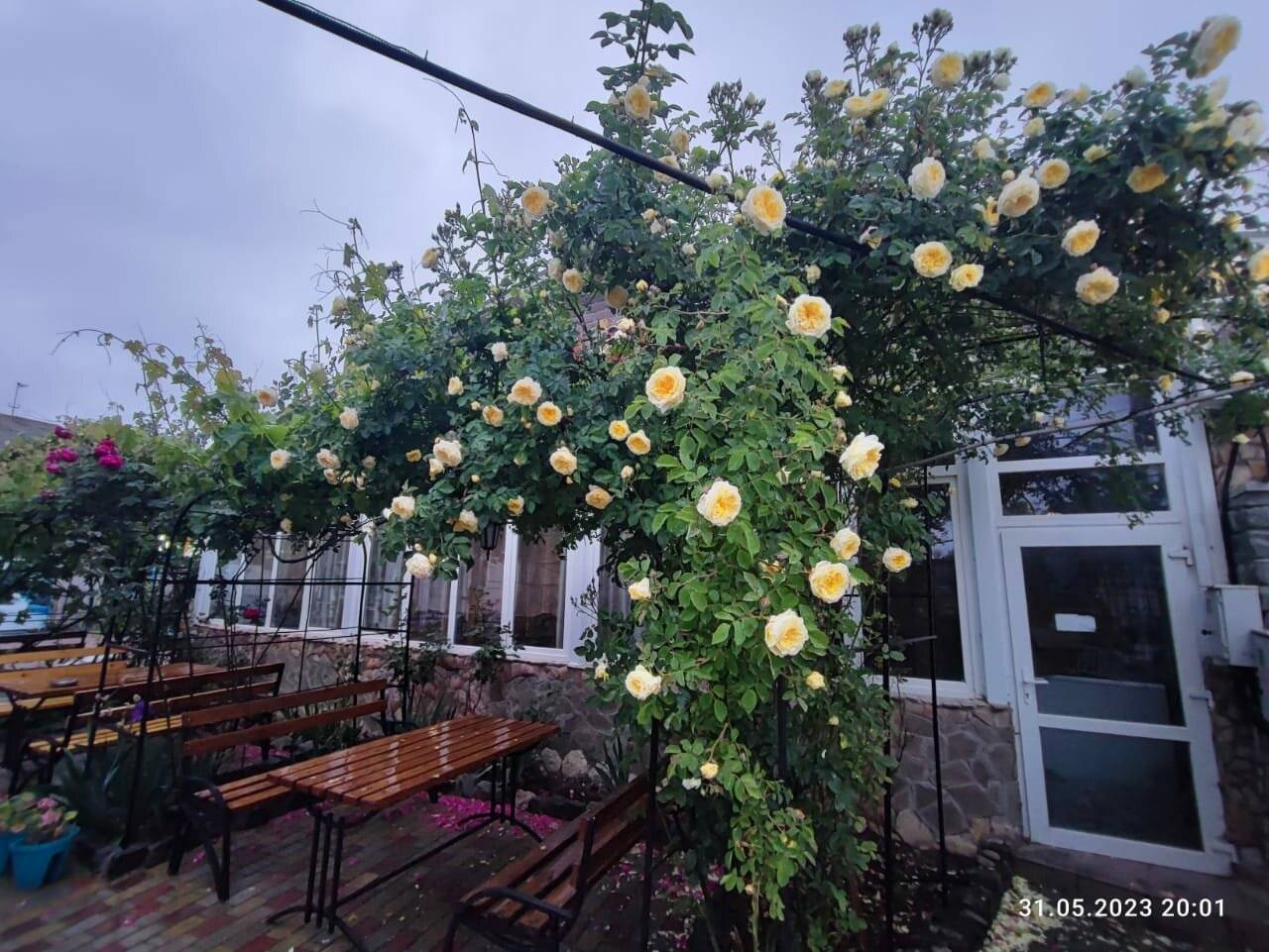 Фото Гостиницы Крепость Кафа Феодосия 115