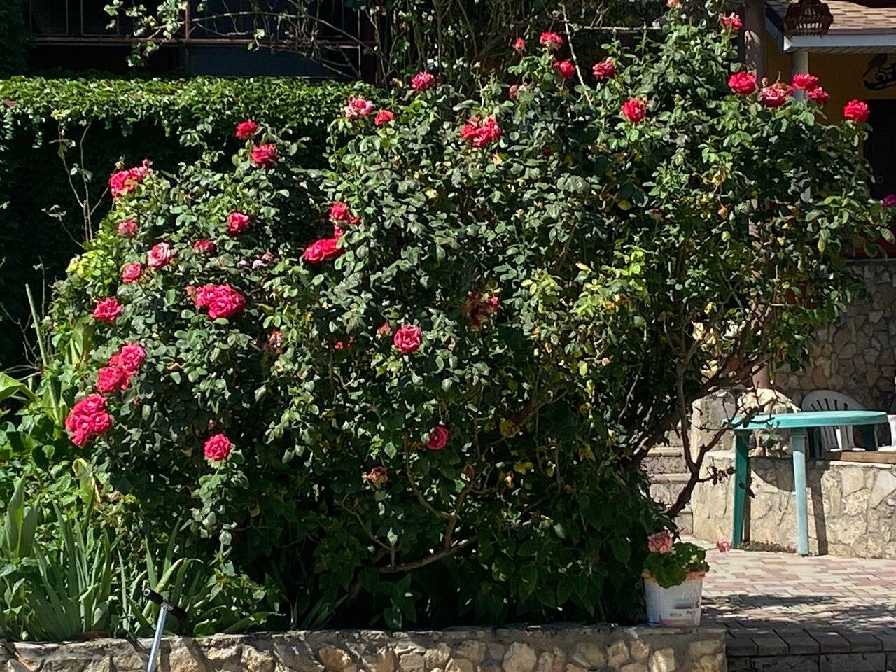 Фото Гостиницы Крепость Кафа Феодосия 84