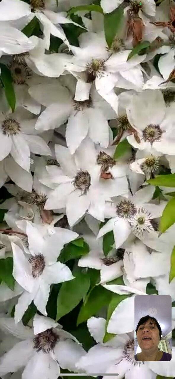 Фото Гостиницы Крепость Кафа Феодосия 41