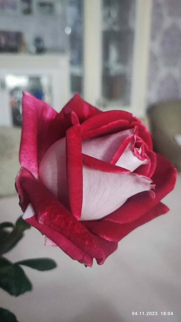 Фото Гостиницы Крепость Кафа Феодосия 81