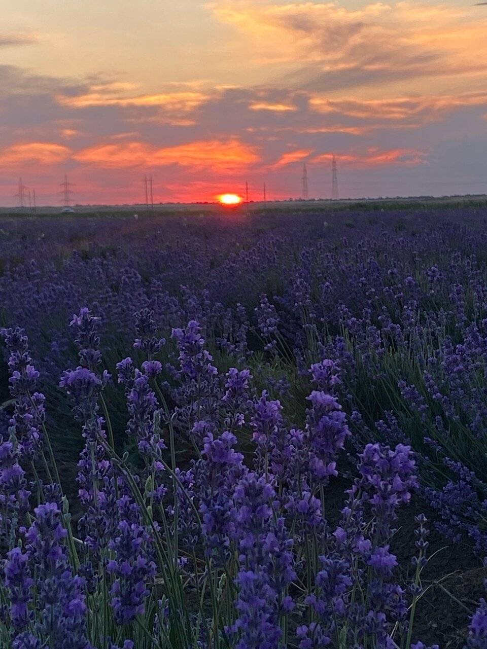 Фото Гостиницы Крепость Кафа Феодосия 46