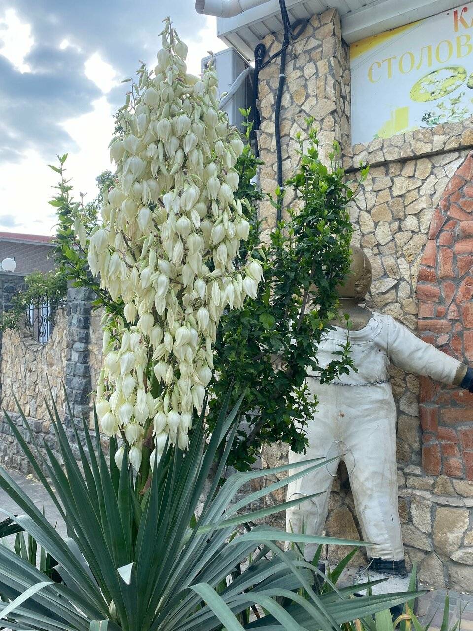 Фото Гостиницы Крепость Кафа Феодосия 55