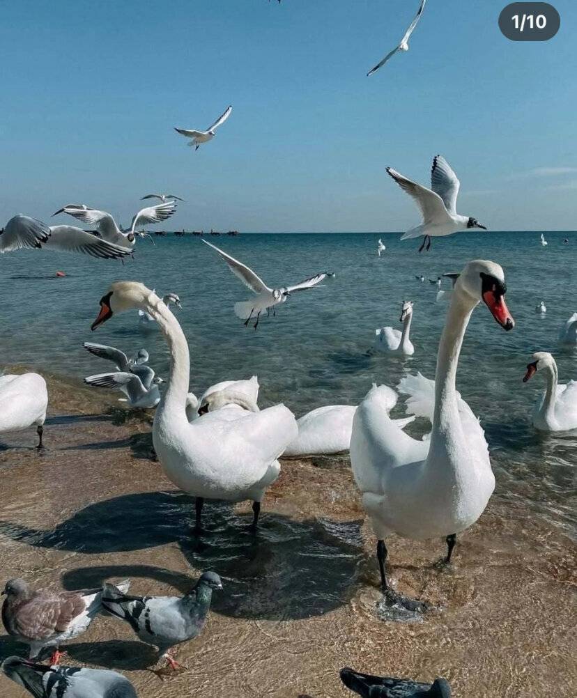 Фото Гостиницы Крепость Кафа Феодосия 20